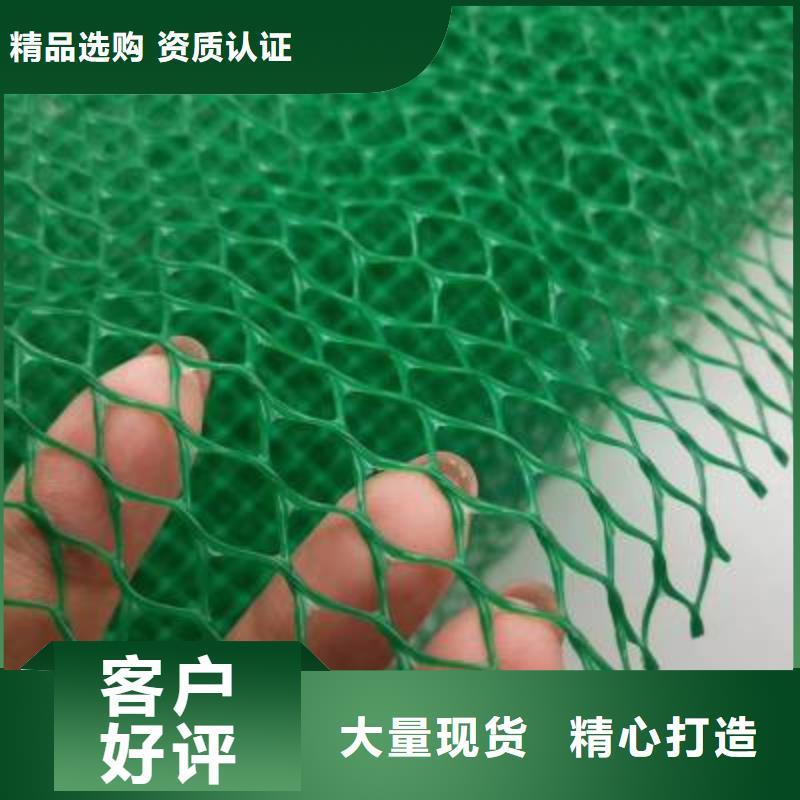 三维植被网,【钢塑土工格栅】颜色尺寸款式定制