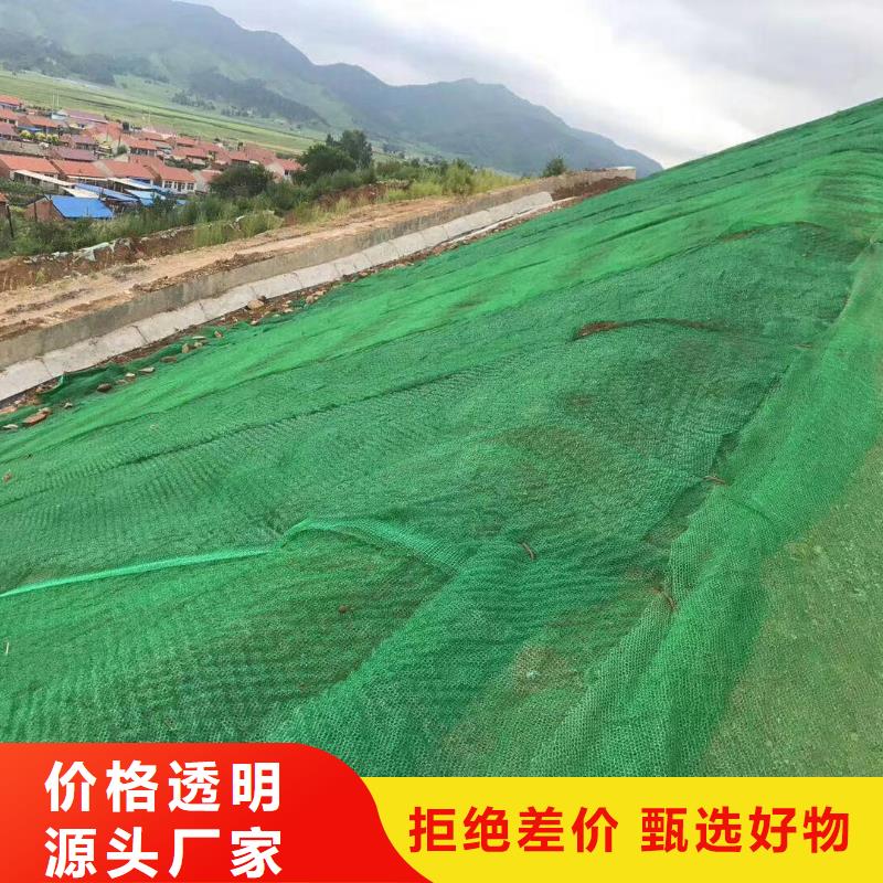 三维植被网_玻纤土工格栅卓越品质保障