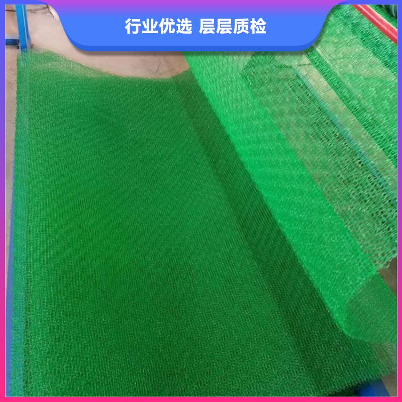 【三维植被网玻纤土工格栅定金锁价】