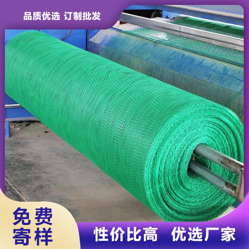 三维植被网【垃圾填埋场材料】实力才是硬道理
