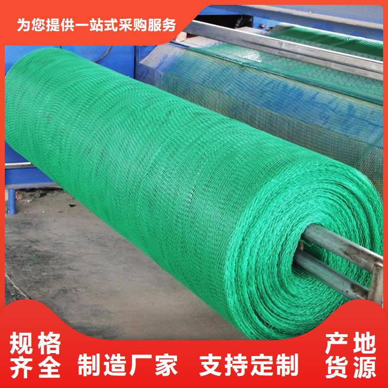 三维植被网凸结点钢塑土工格栅款式多样