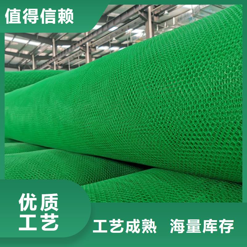 【三维植被网玻纤土工格栅定金锁价】