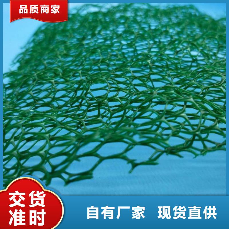 【三维植被网玻纤土工格栅定金锁价】
