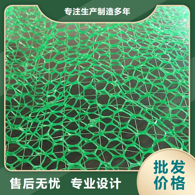 【三维植被网玻纤土工格栅定金锁价】