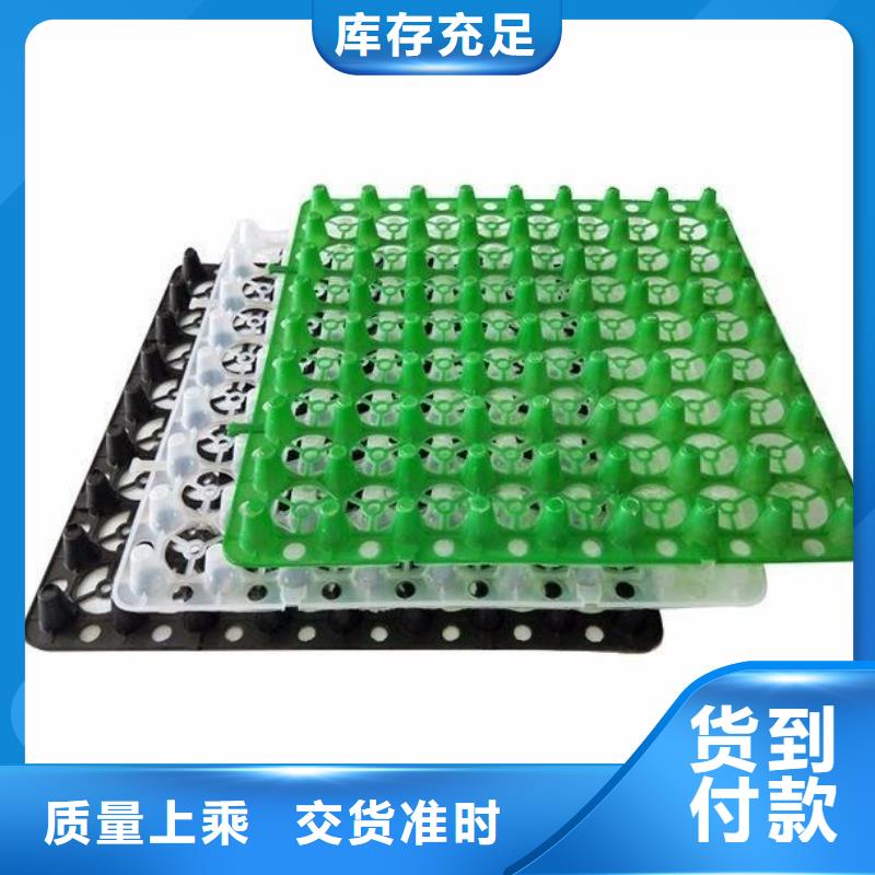 塑料排水板单向塑料土工格栅用途广泛