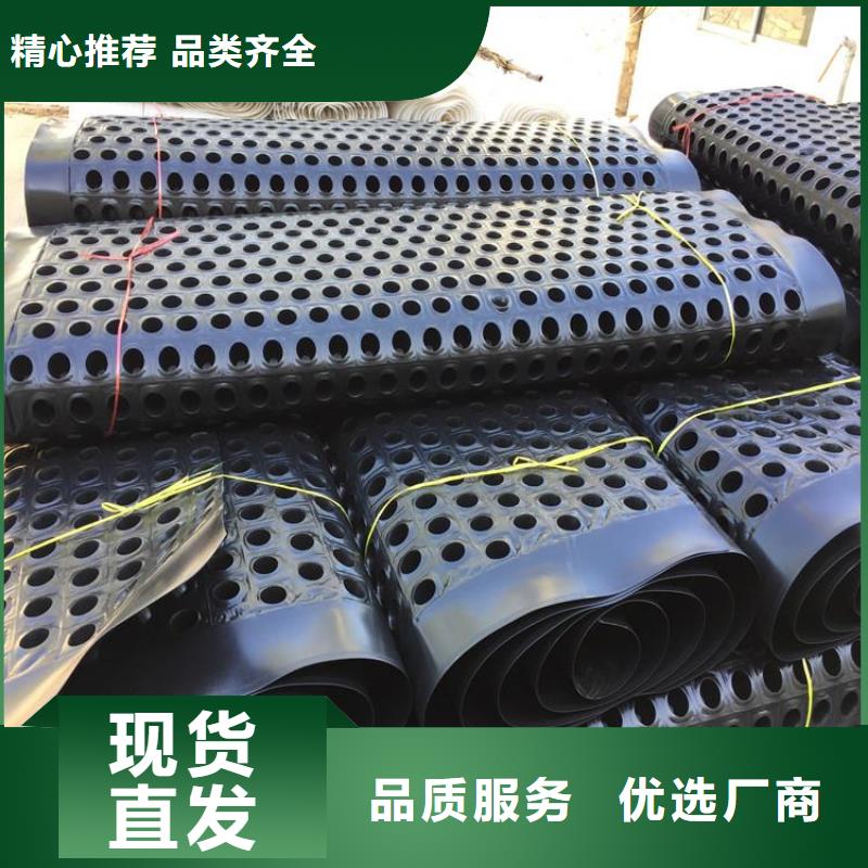塑料排水板土工格栅质量优价格低
