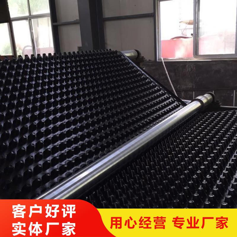 塑料排水板复合土工膜货真价实