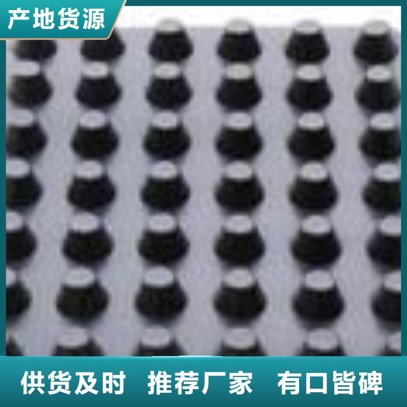塑料排水板土工格栅质量优价格低