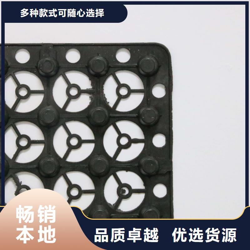 塑料排水板_凸结点钢塑土工格栅专注品质