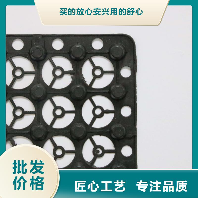 塑料排水板单向塑料土工格栅用途广泛
