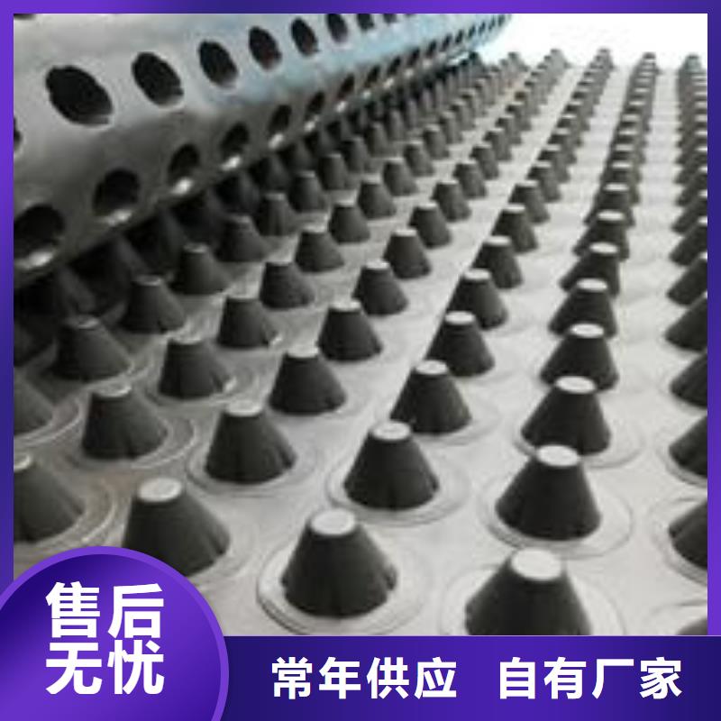塑料排水板复合土工膜货真价实