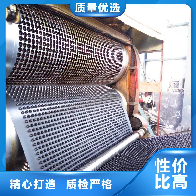 塑料排水板HDPE土工膜质优价保