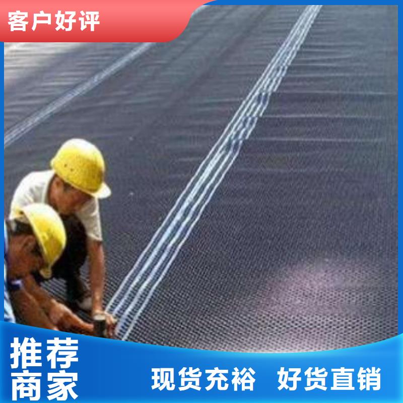 塑料排水板复合土工膜货真价实