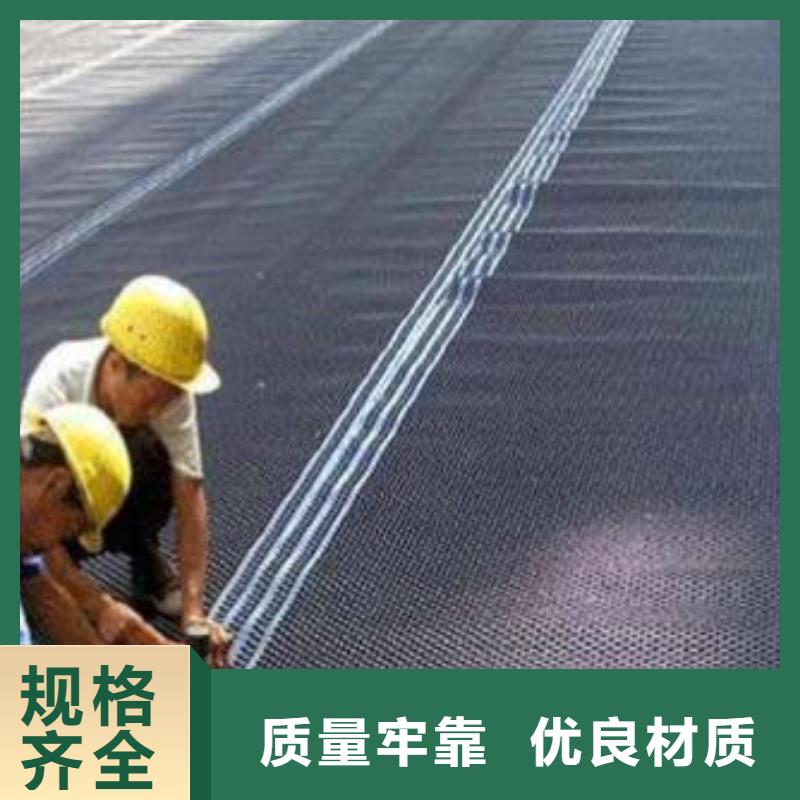塑料排水板土工格栅质量优价格低