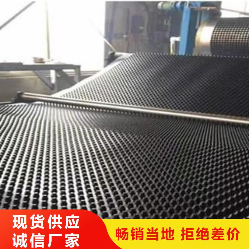 塑料排水板HDPE土工膜质优价保