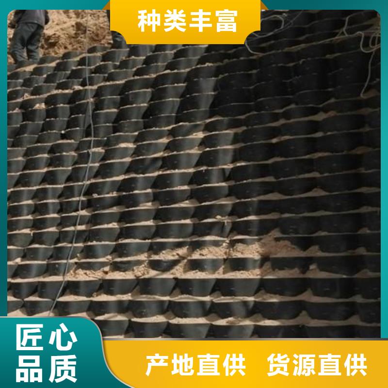 土工格室凸结点钢塑土工格栅多年行业积累