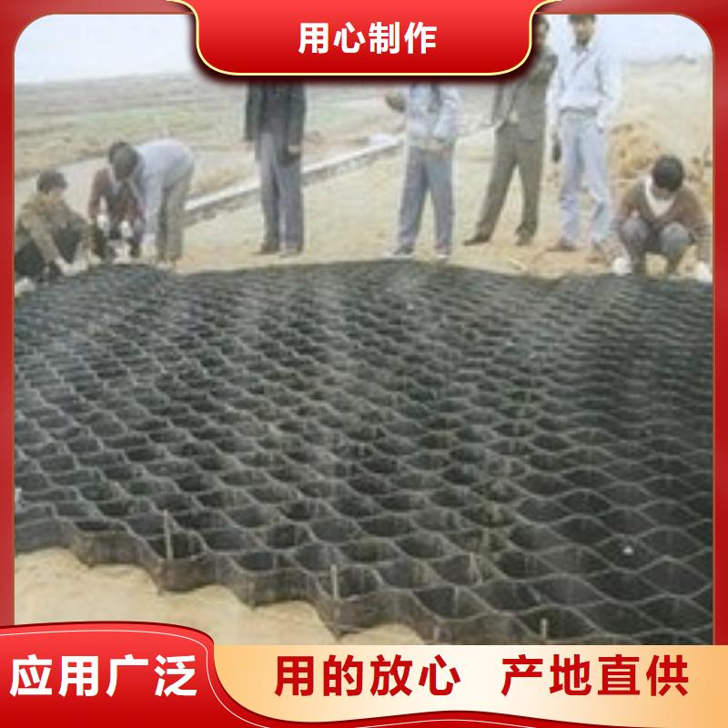 土工格室钢塑土工格栅品质服务诚信为本