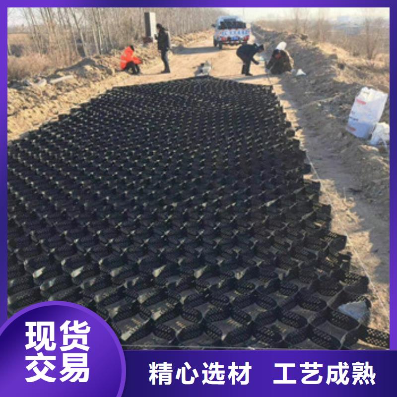 土工格室钢塑土工格栅品质服务诚信为本