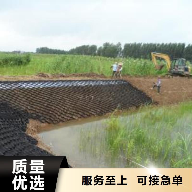 土工格室短丝土工布好厂家有担当