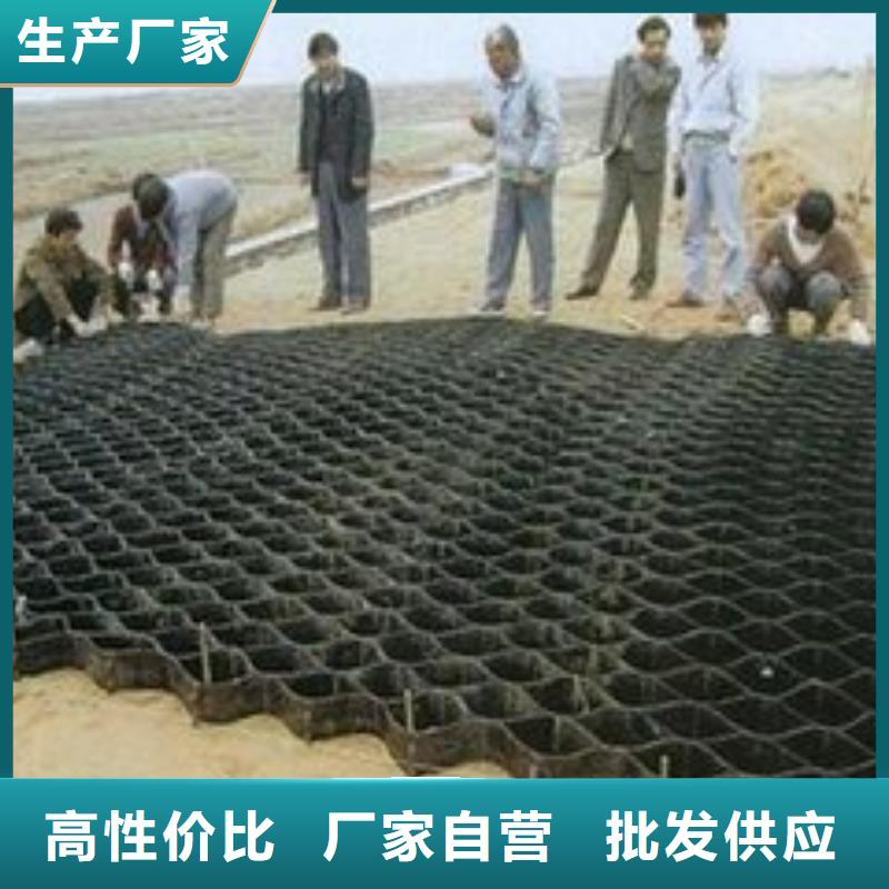 土工格室钢塑土工格栅品质服务诚信为本
