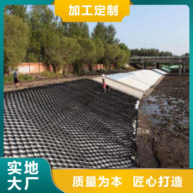 土工格室凸结点钢塑土工格栅多年行业积累