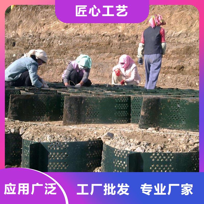 土工格室钢塑土工格栅追求品质