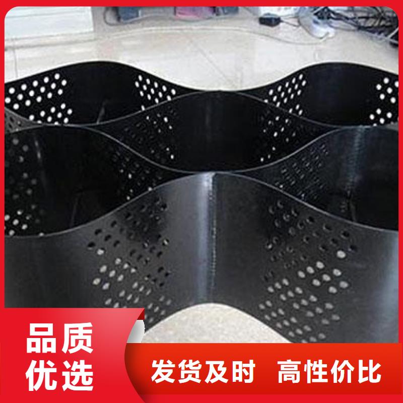 土工格室-护坡土工网畅销本地