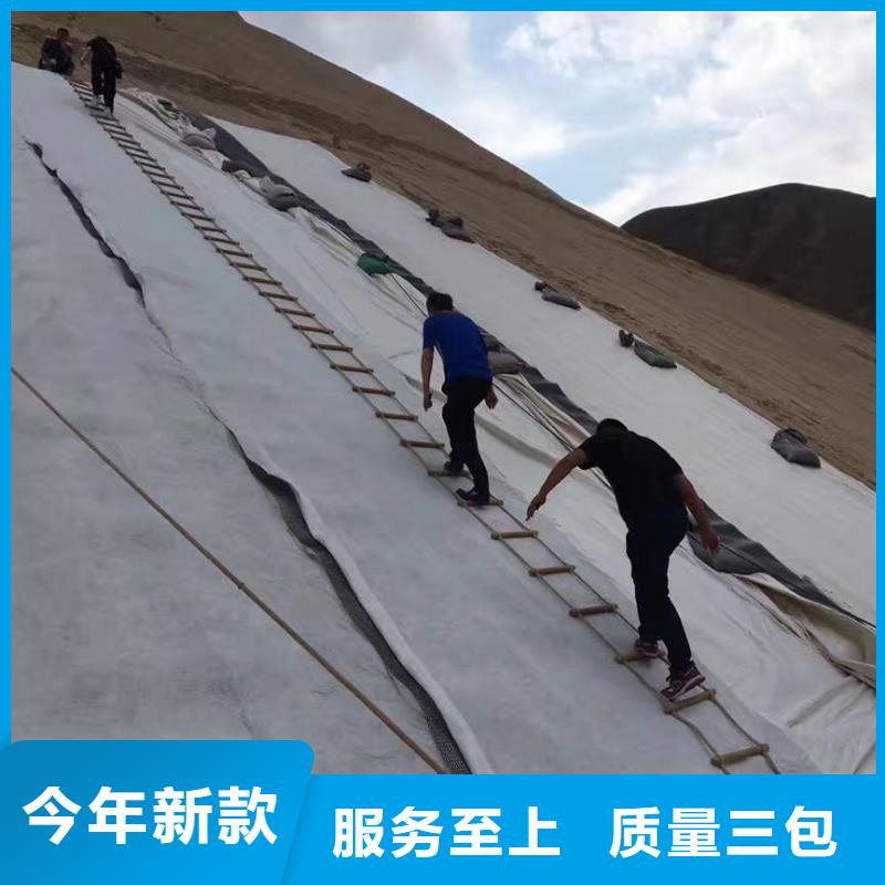 三维复合排水网_塑料排水板诚信经营