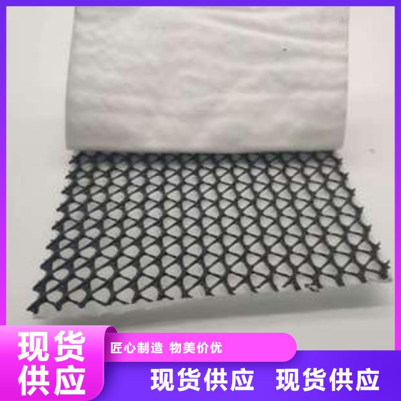【三维复合排水网】三维土工网垫品质卓越