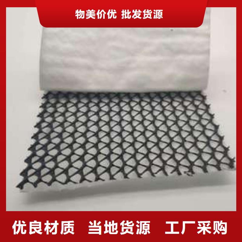 三维复合排水网凸结点钢塑土工格栅高品质诚信厂家