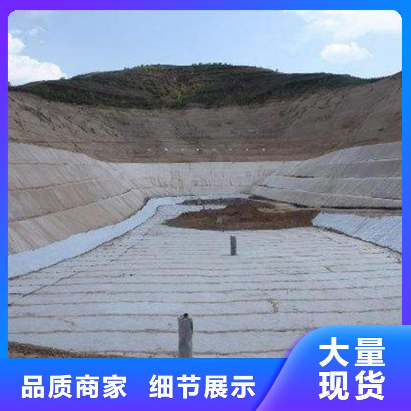 三维复合排水网_塑料排水板诚信经营