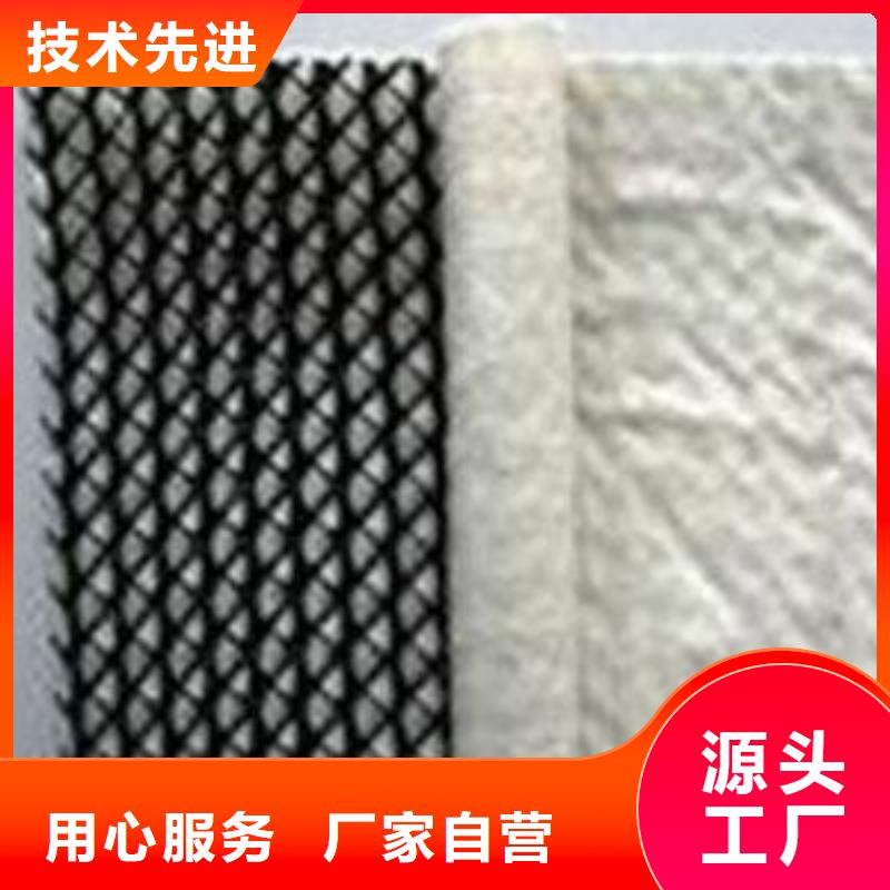 三维复合排水网涤纶土工格栅批发货源