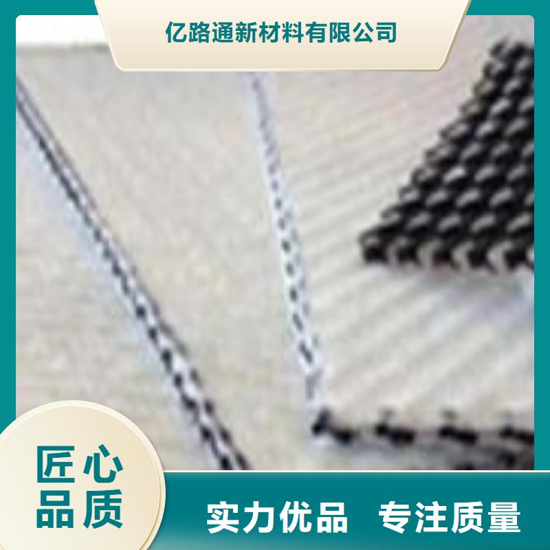 三维复合排水网凸结点钢塑土工格栅高品质诚信厂家