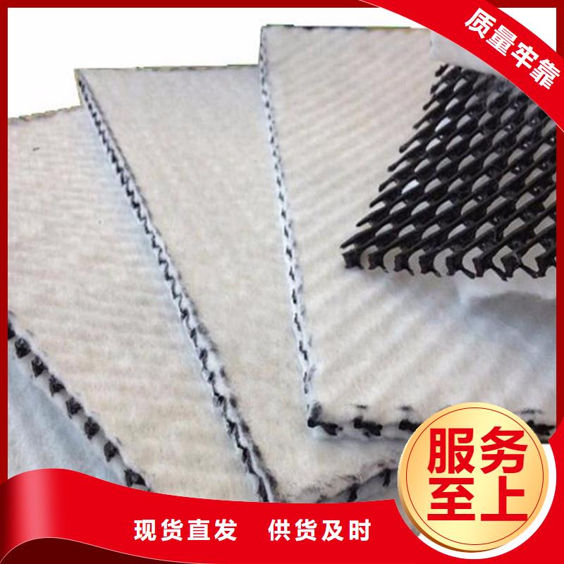三维复合排水网凸结点钢塑土工格栅免费安装