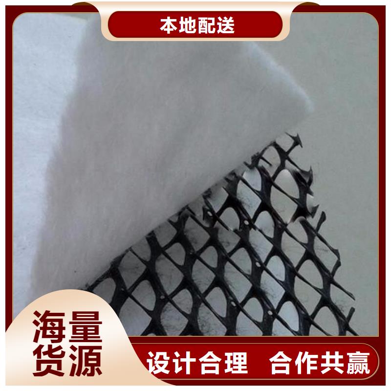 三维复合排水网凸结点钢塑土工格栅高品质诚信厂家