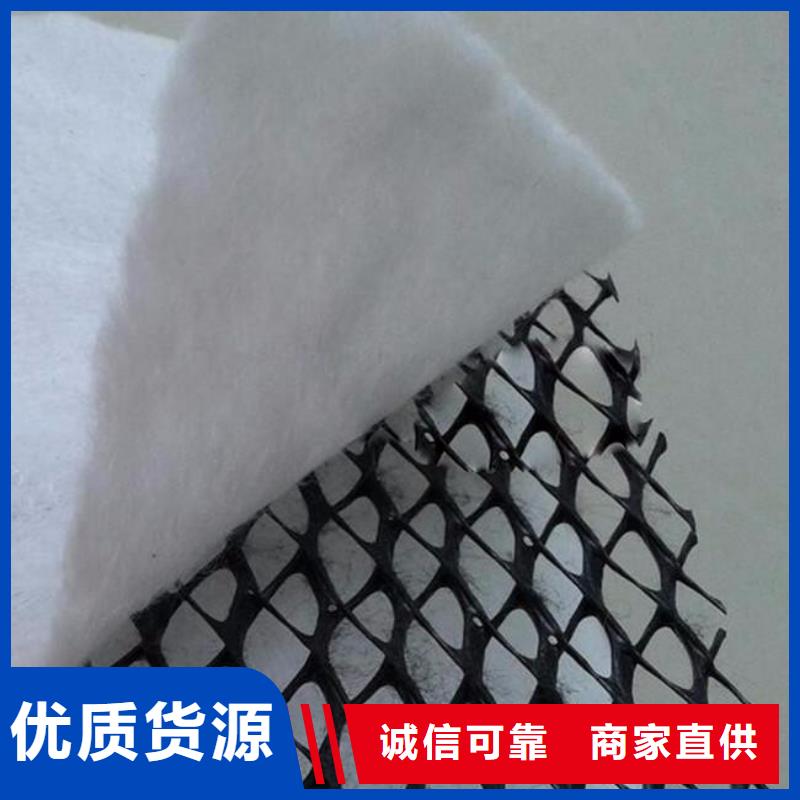 三维复合排水网涤纶土工格栅批发货源