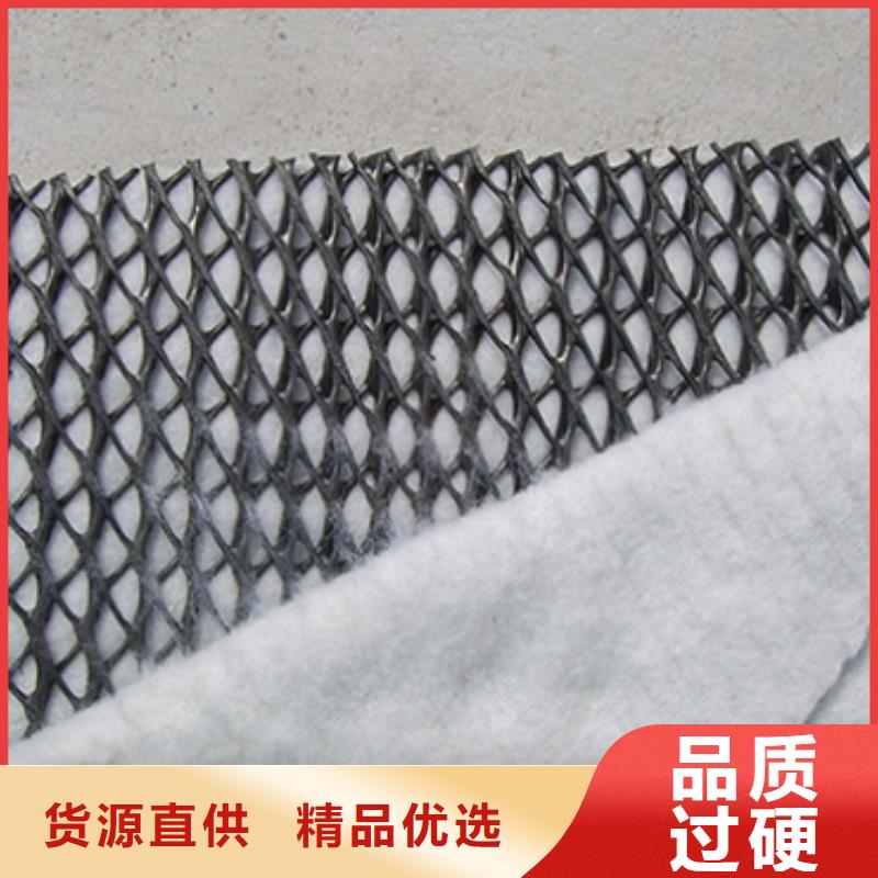 三维复合排水网涤纶土工格栅批发货源