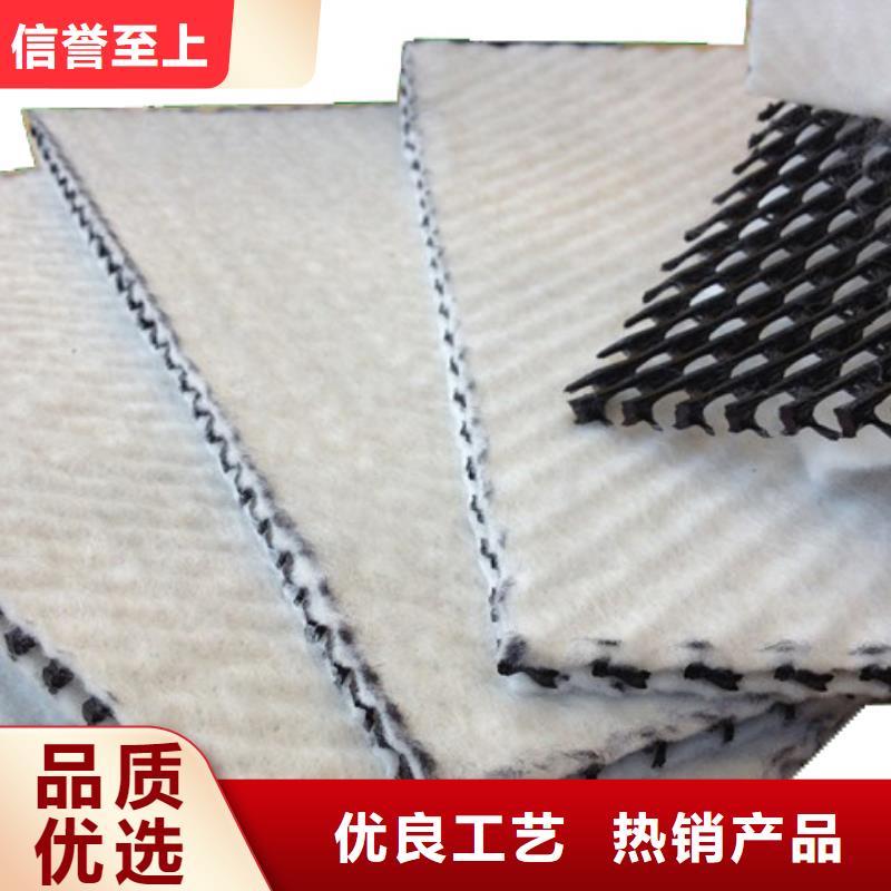 三维复合排水网_塑料排水板诚信经营