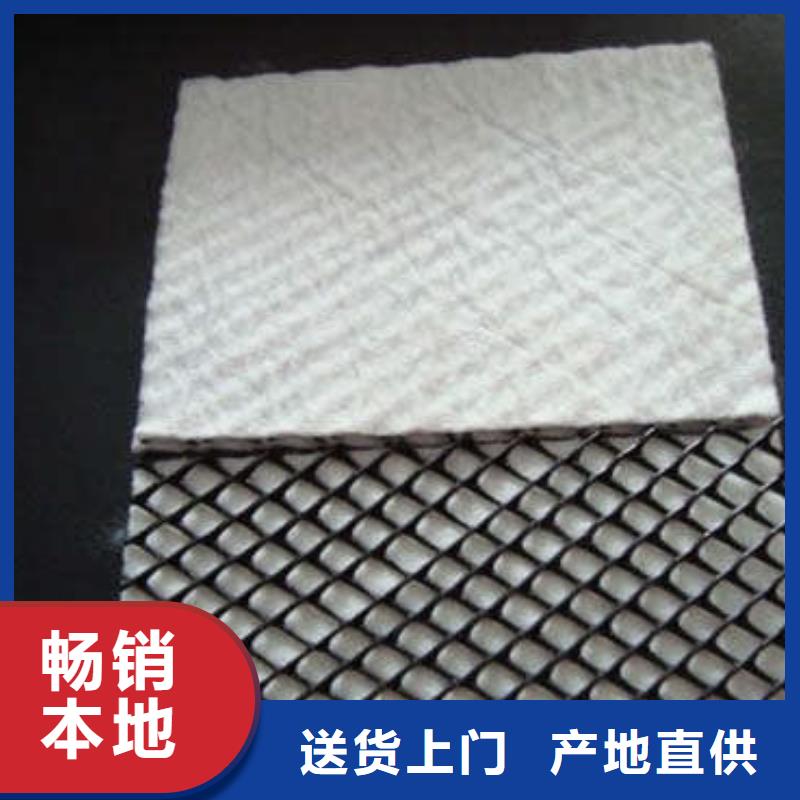 三维复合排水网涤纶土工格栅批发货源