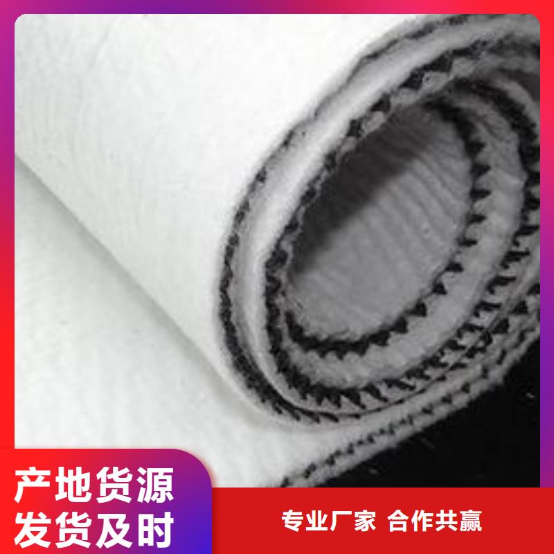 三维复合排水网_塑料排水板诚信经营