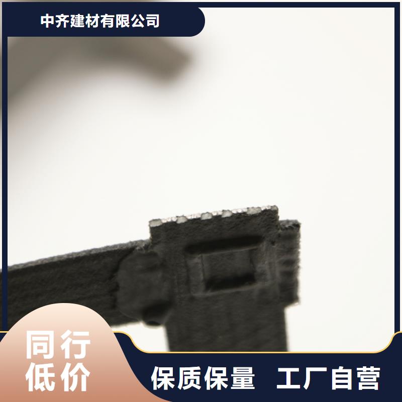 【钢塑土工格栅-双向塑料土工格栅拒绝伪劣产品】