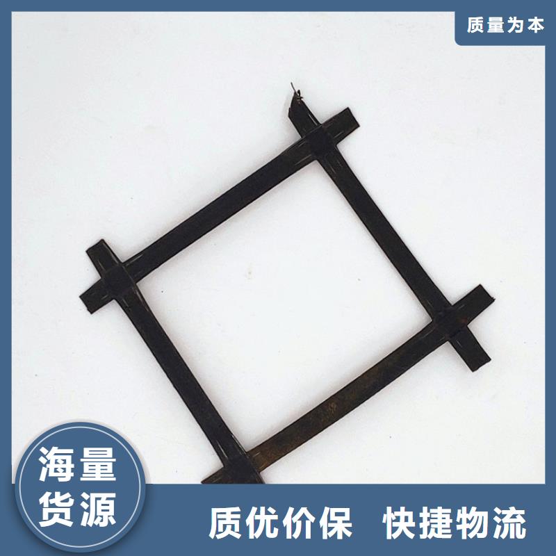 【钢塑土工格栅】-涤纶土工格栅实地大厂