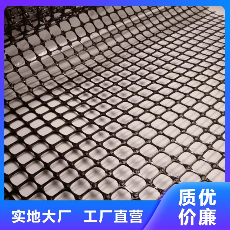 塑料土工格栅双向塑料土工格栅高质量高信誉
