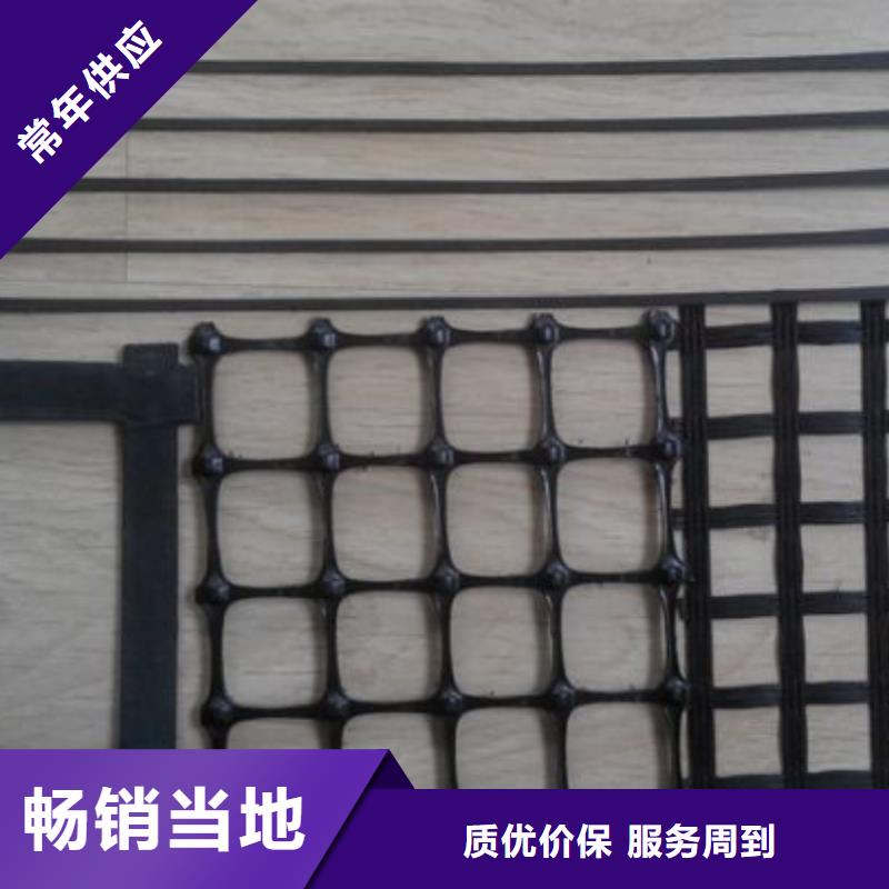 【塑料土工格栅】土工布实力商家