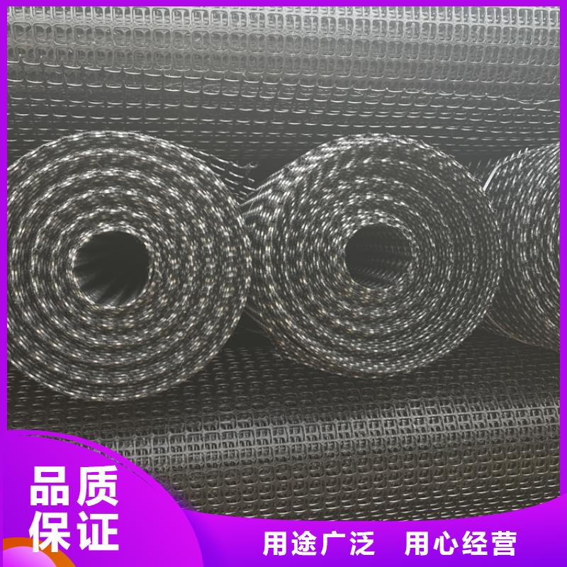 【塑料土工格栅】土工布实力商家
