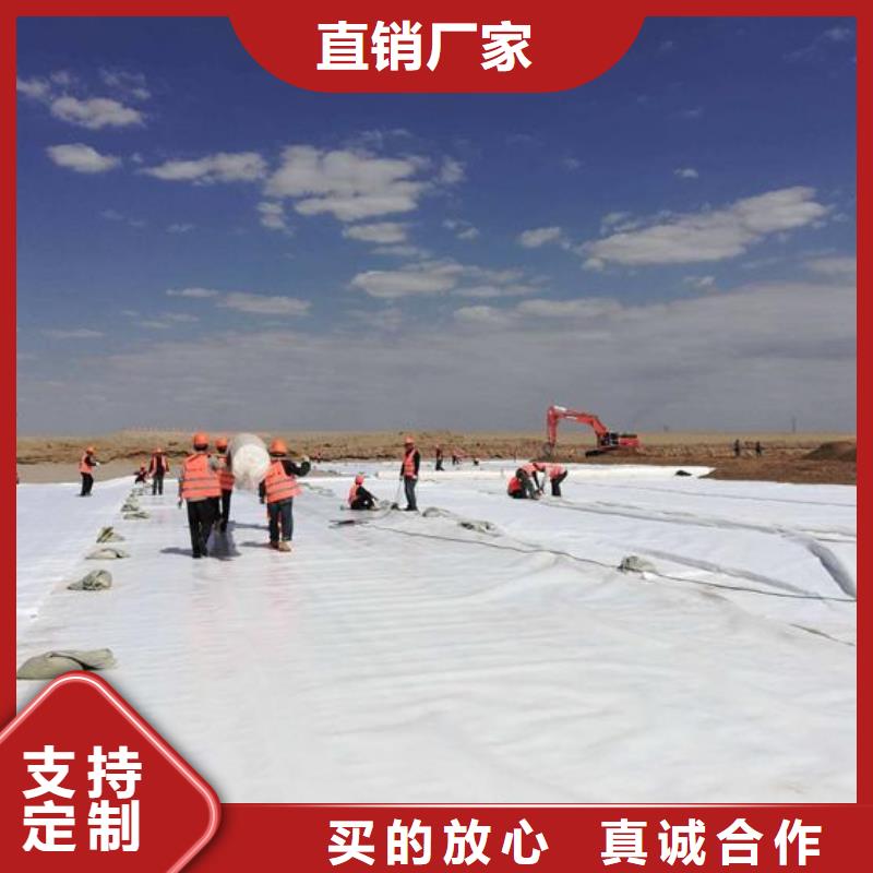 【土工布】单向塑料土工格栅厂家现货批发