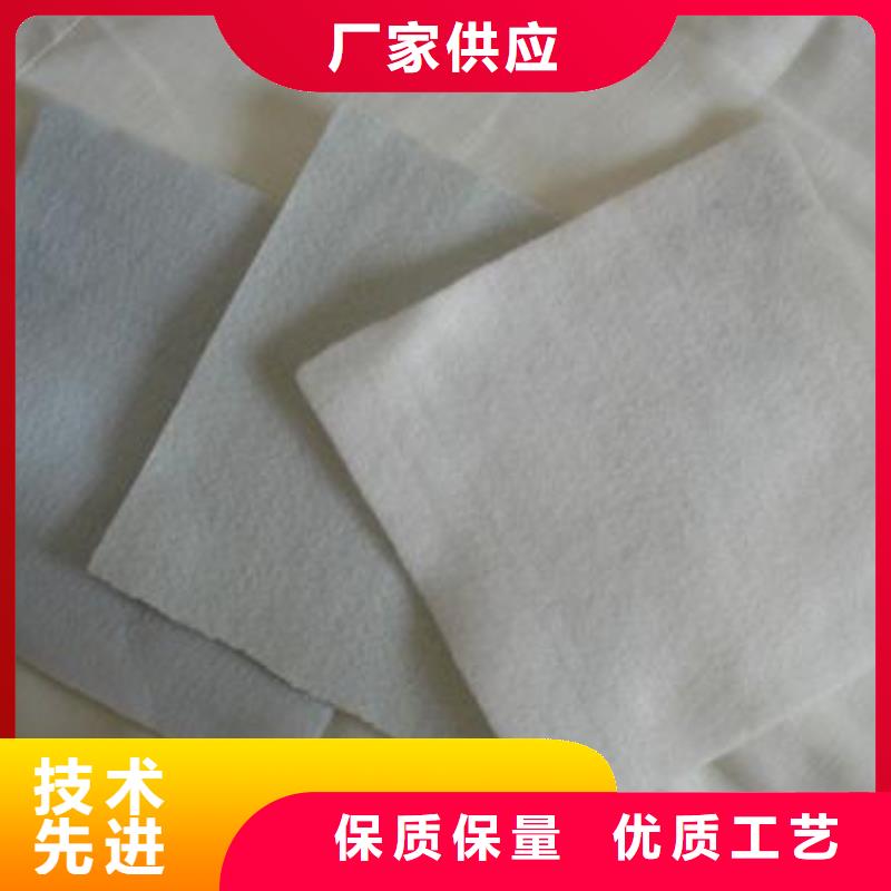 【土工布】单向塑料土工格栅厂家现货批发