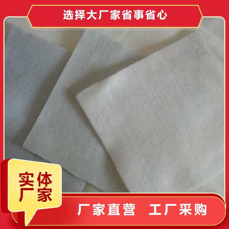 土工布双向塑料格栅商家