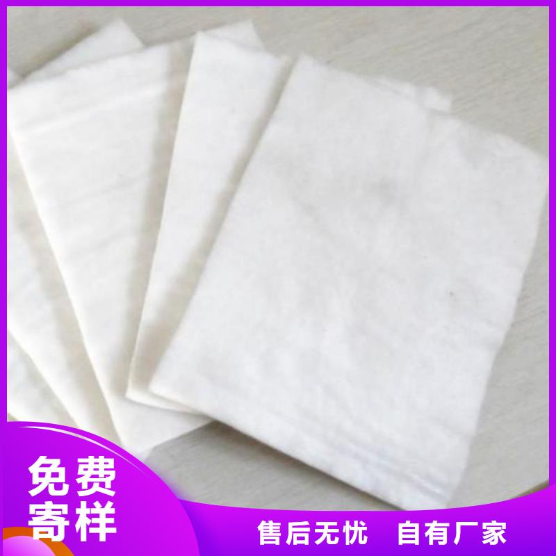 【土工布】单向塑料土工格栅厂家现货批发