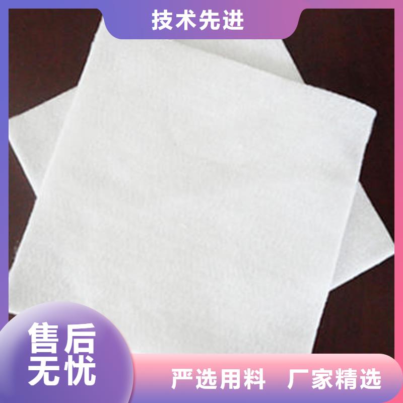 【土工布】单向塑料土工格栅厂家现货批发
